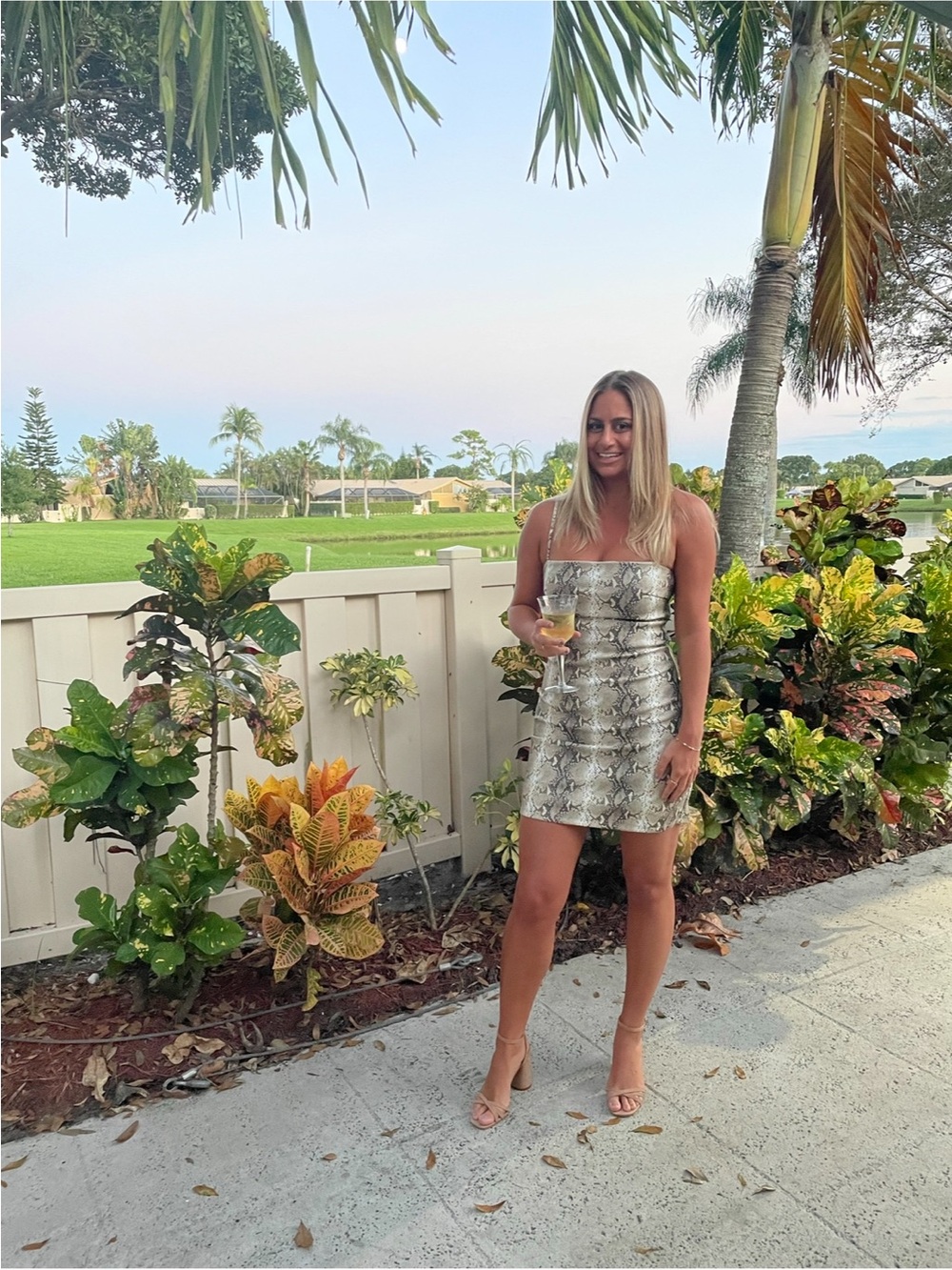 Tiger Mist Snake Print Mini Dress in Beige and Black - Picture 2 of 4